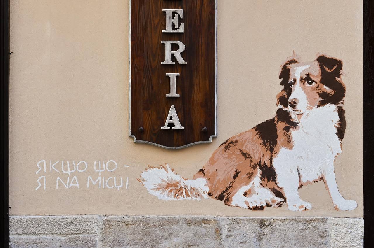 В пам’ять про «собачого мера Львова» Каштанчика у Львові намалювали мурал