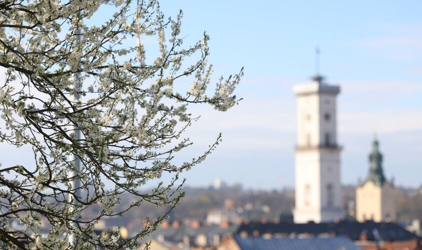 У Львові триває конкурс за найгарніші фото квітучого міста: як долучитися