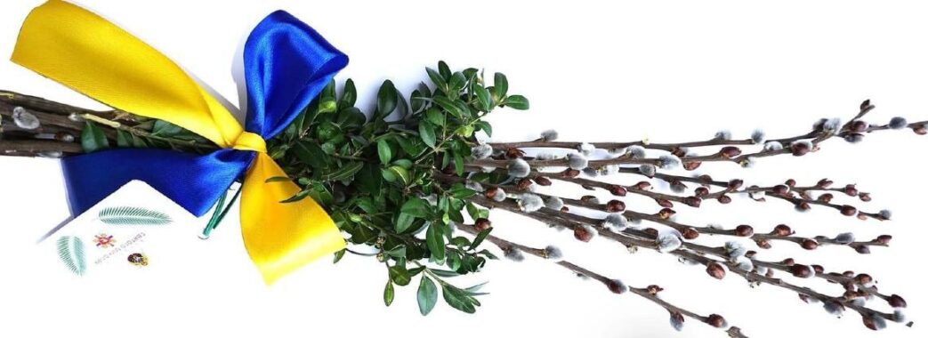 В Гарнізонному храмі у Львові триває ініціатива «Благодійна Верба»: як долучитися