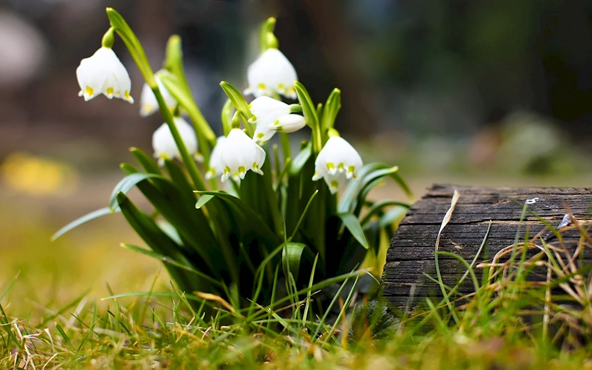 Завтра синоптики прогнозують до 24° тепла