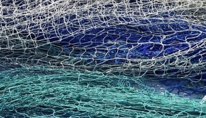 На Львівщині екологи вилучили кілометр браконьєрських сіток і врятували 23 кг риби