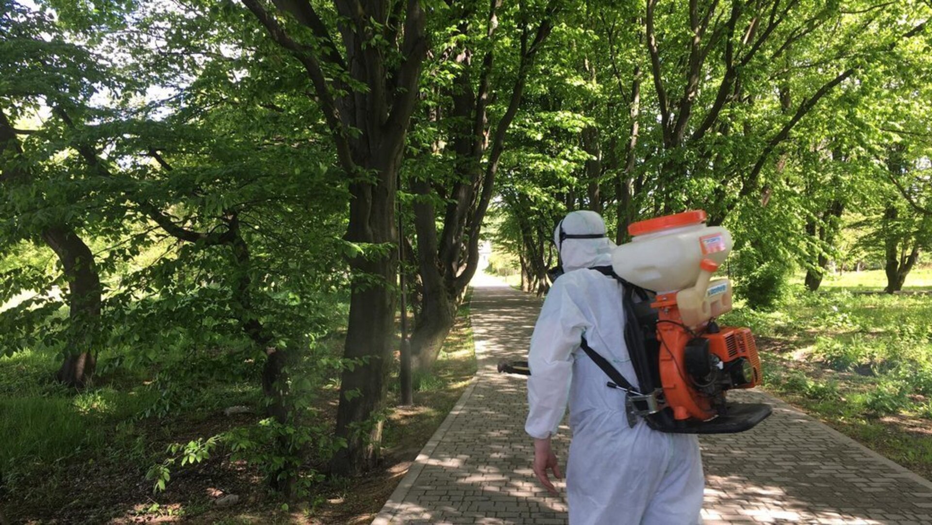 Від сьогодні дитмайданчики Львова оброблятимуть від кліщів: графік
