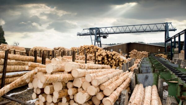 БЕБ на Львівщині забезпечило відшкодування майже 5 млн грн податків приватним підприємцем