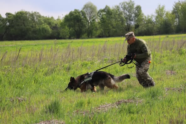 Нюх на перемогу: на Львівщині обрали кращого кінолога та службового собаку 2025 року
