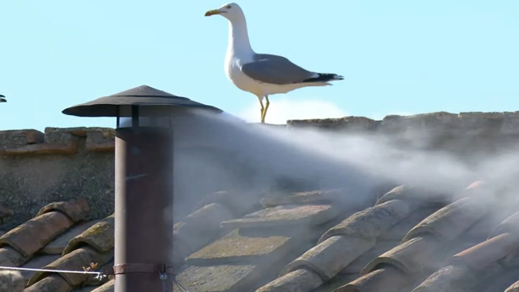 У Ватикані обрали нового Папу Римського (ОНОВЛЕННО)