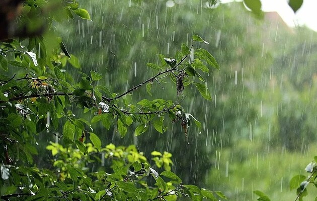 Заморозки вночі, дощ удень: прогноз погоди на 12 травня у Львові та області