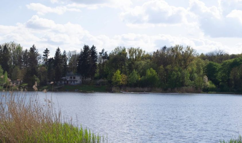 У Львівській громаді створюють ще два об’єкти природно-заповідного фонду: деталі