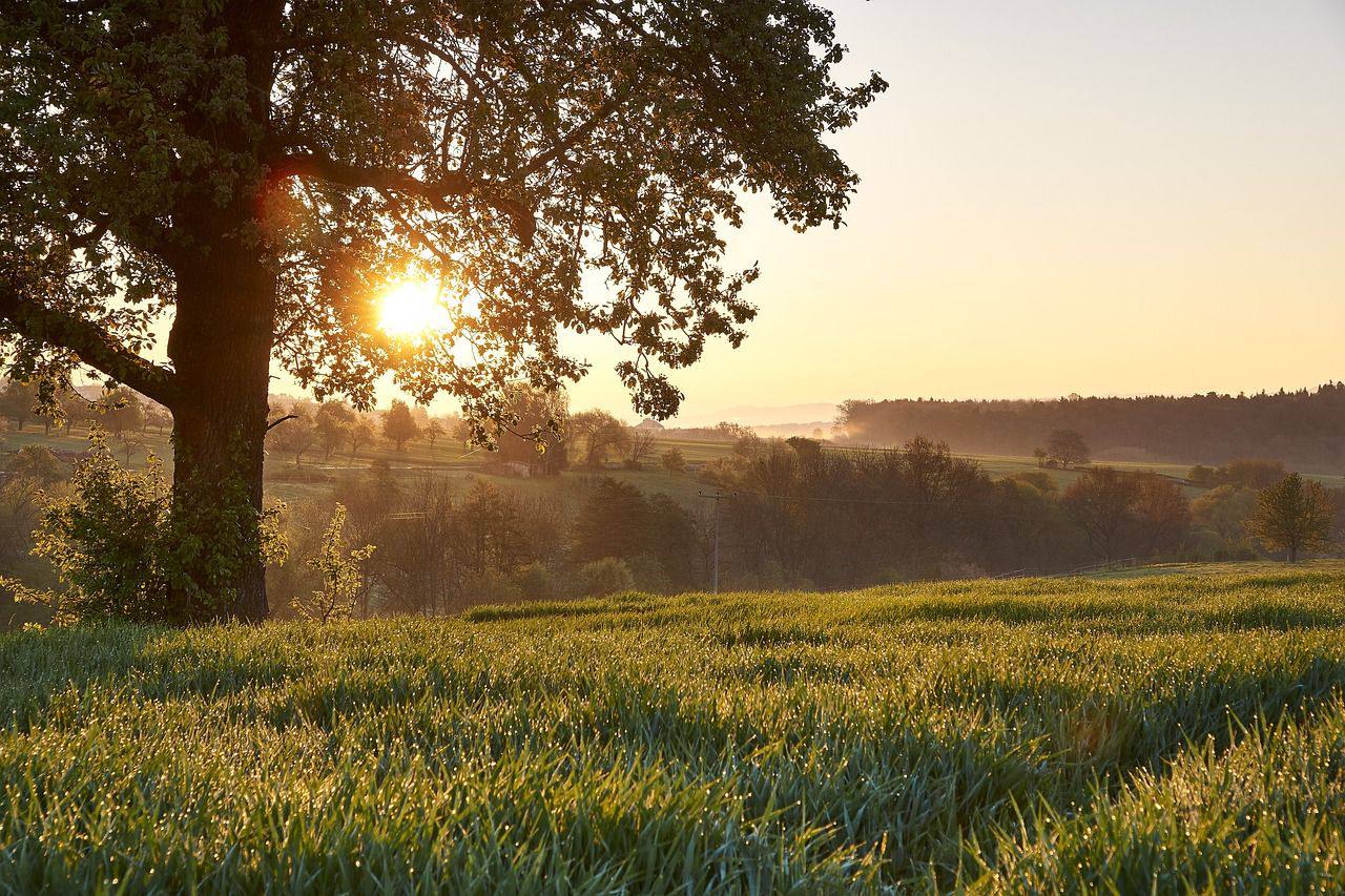 17° тепла та невеликий дощ: синоптики розповіли, якою буде погода на Львівщині 20 травня
