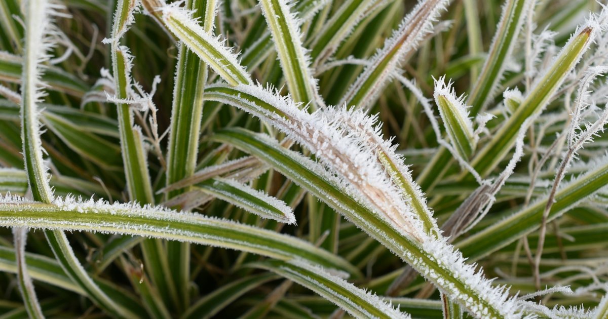У Львові вже другу ніч поспіль фіксують температурний рекорд