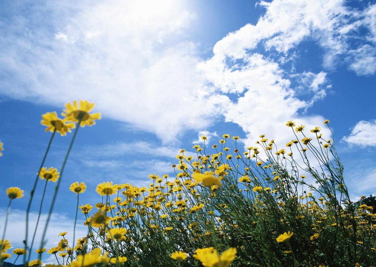 До +26° та без опадів: якою буде погода цієї неділі на Львівщині