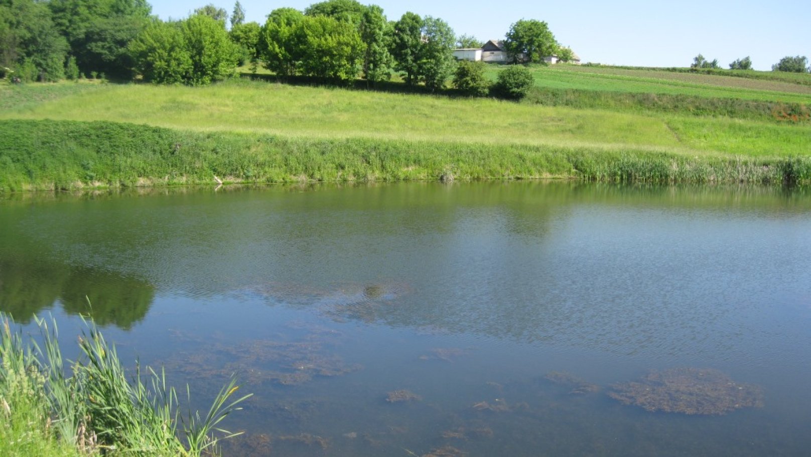 Громаді Трускавця повернули землю з озером: підприємство змінювало призначення