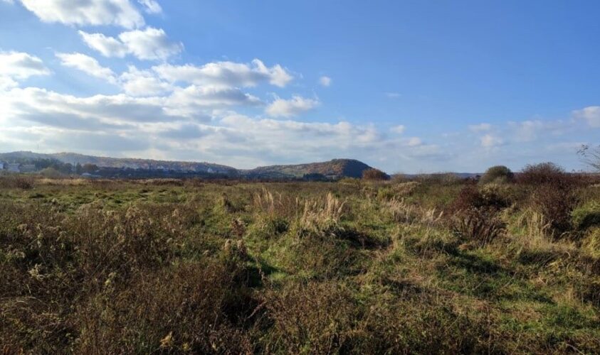 У Львові створять новий ландшафтний заказник: його площа сягатиме 525 гектарів