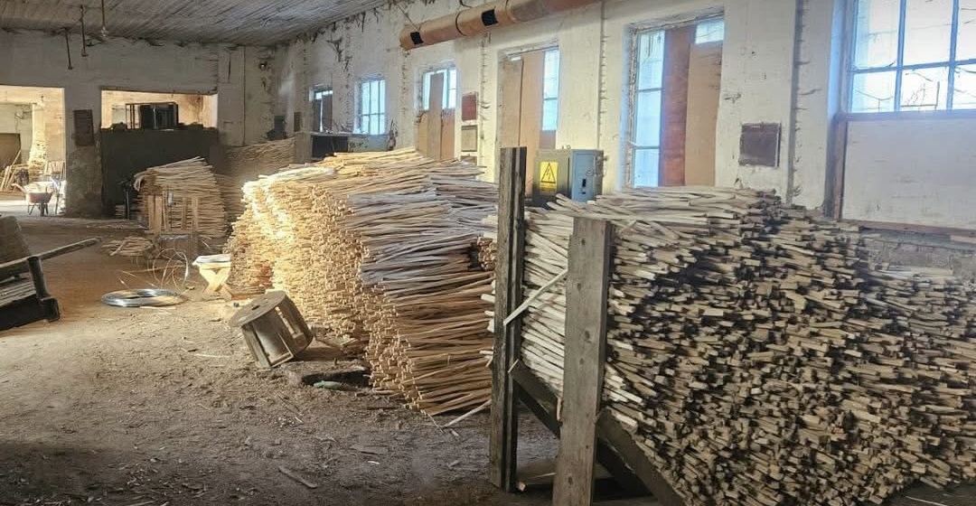 На Львівщині судитимуть організаторку схеми за контрабанду лісоматеріалів до ЄС