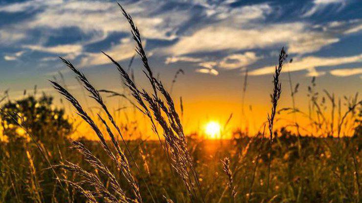 Прогноз погоди на 19 червня: синоптики обіцяють на Львівщині короткочасний дощ та 25° тепла