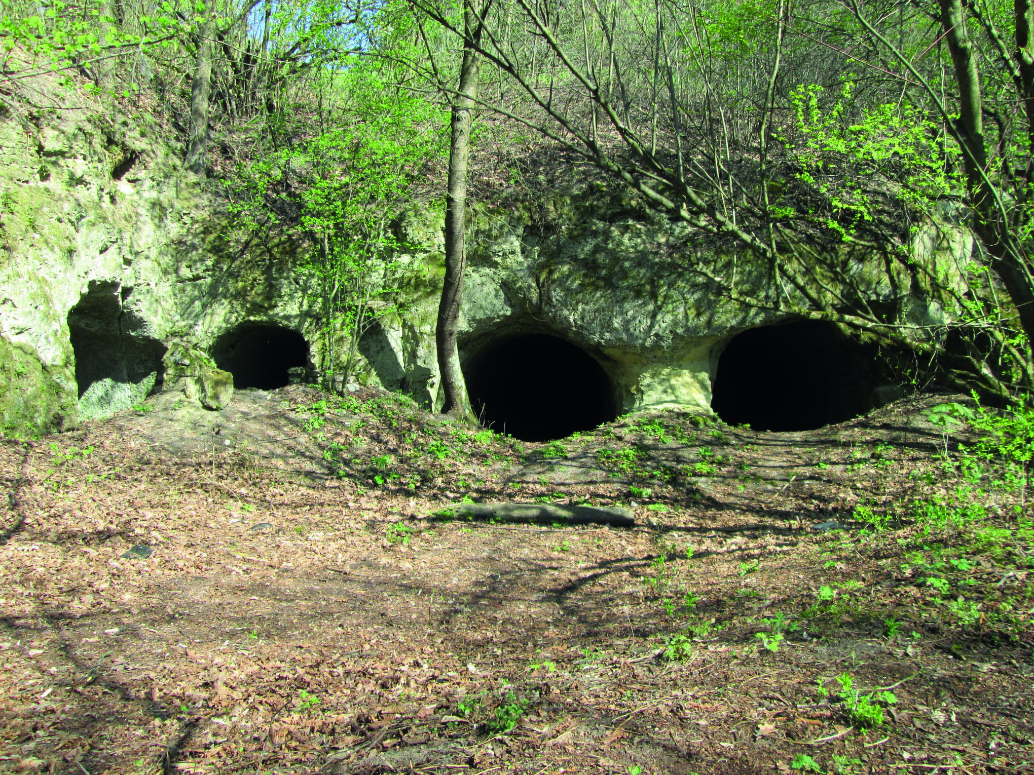 Історія перемогла бізнес: фортецю в Миколаєві повернули громаді