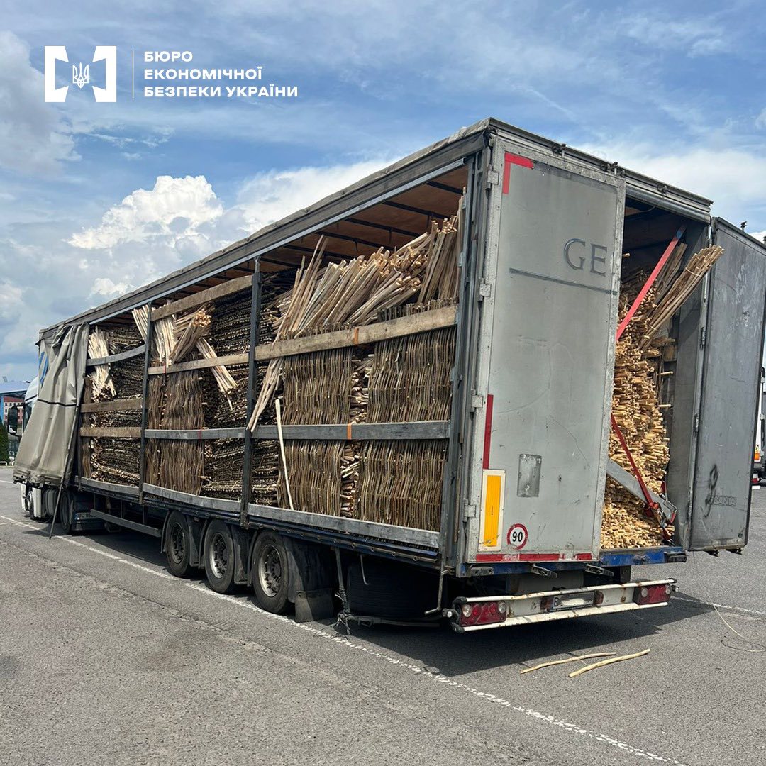 На Львівщині викрили жінку, яка нелегально вивозила деревину до Польщі