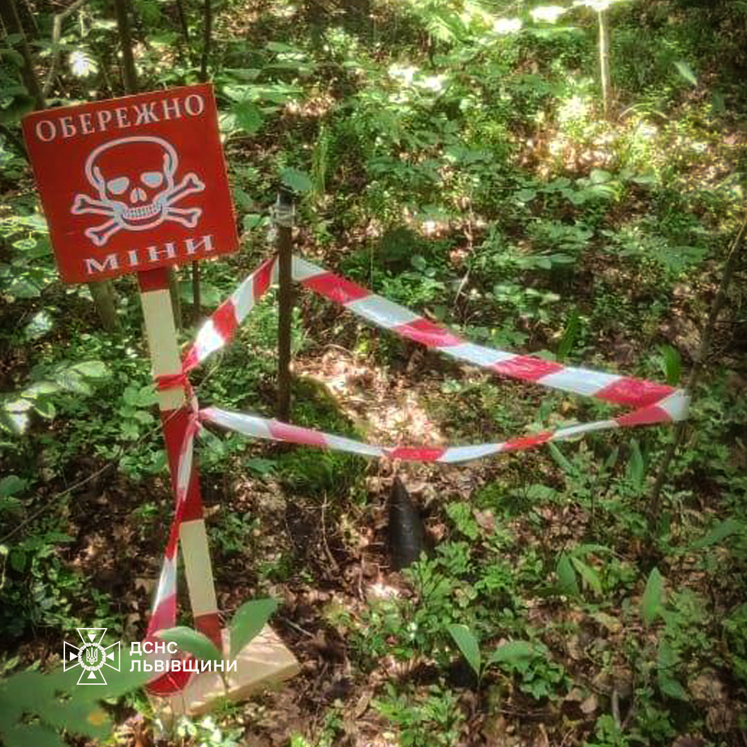 Лісові «трофеї»: на Яворівщині знайшли снаряд часів ІІ Світової війни
