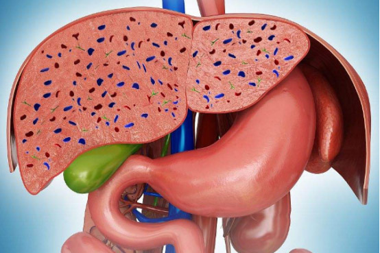 За перше півріччя 2025 року в області зареєстрували 50 випадків вірусного гепатиту А: як вберегтися від інфікування