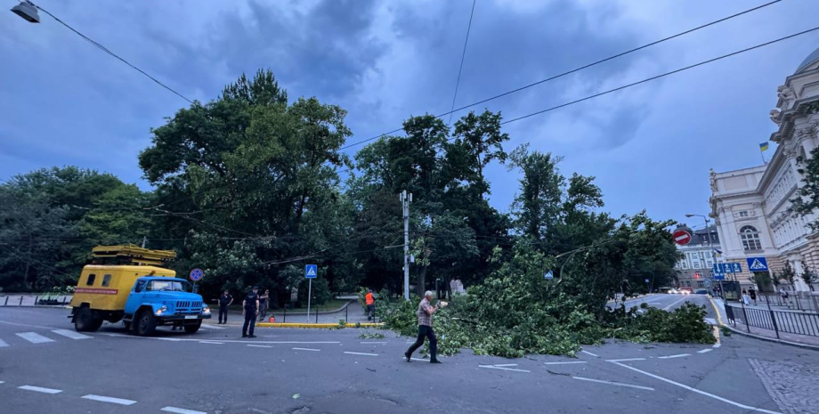 Через нічну бурю енергетики Львівщини ліквідовують наслідки