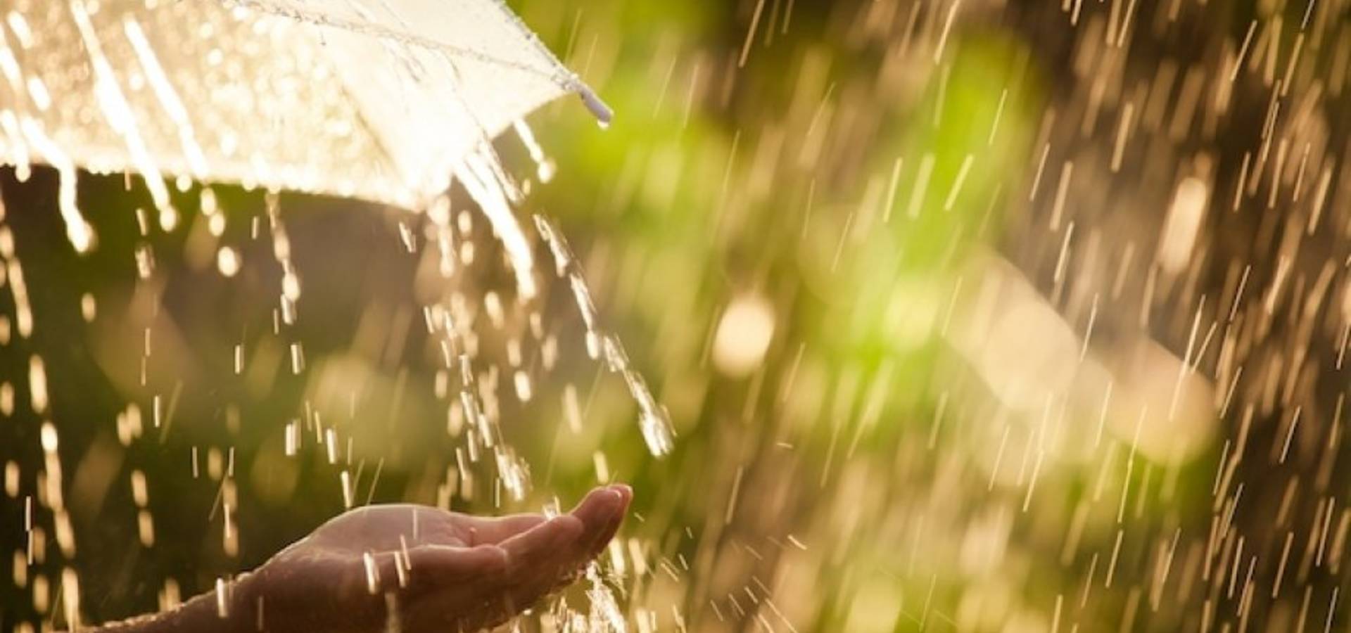 Хмарно, місцями дощитиме: якою буде погода 20 липня на Львівщині