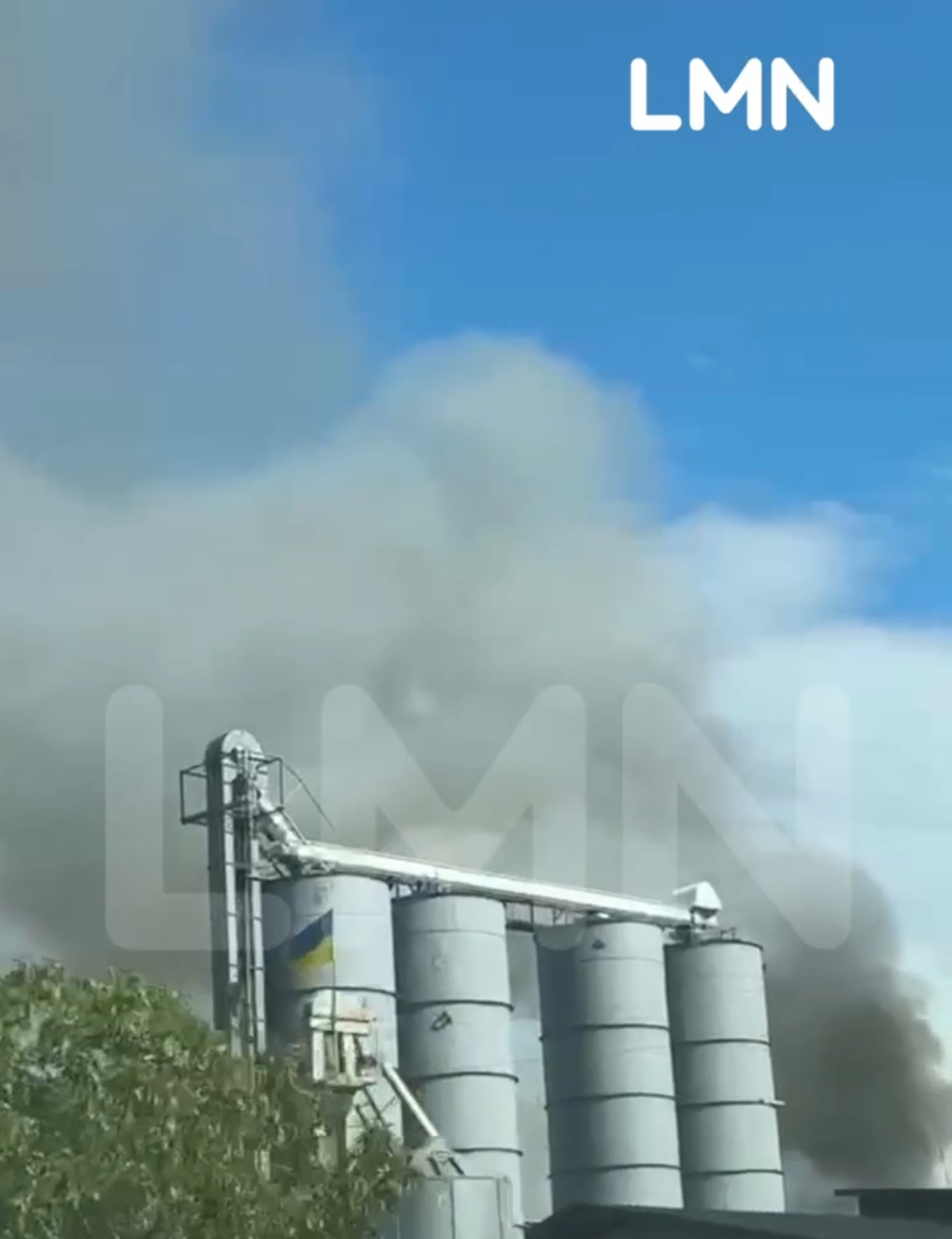 Поблизу Львова масштабна пожежа