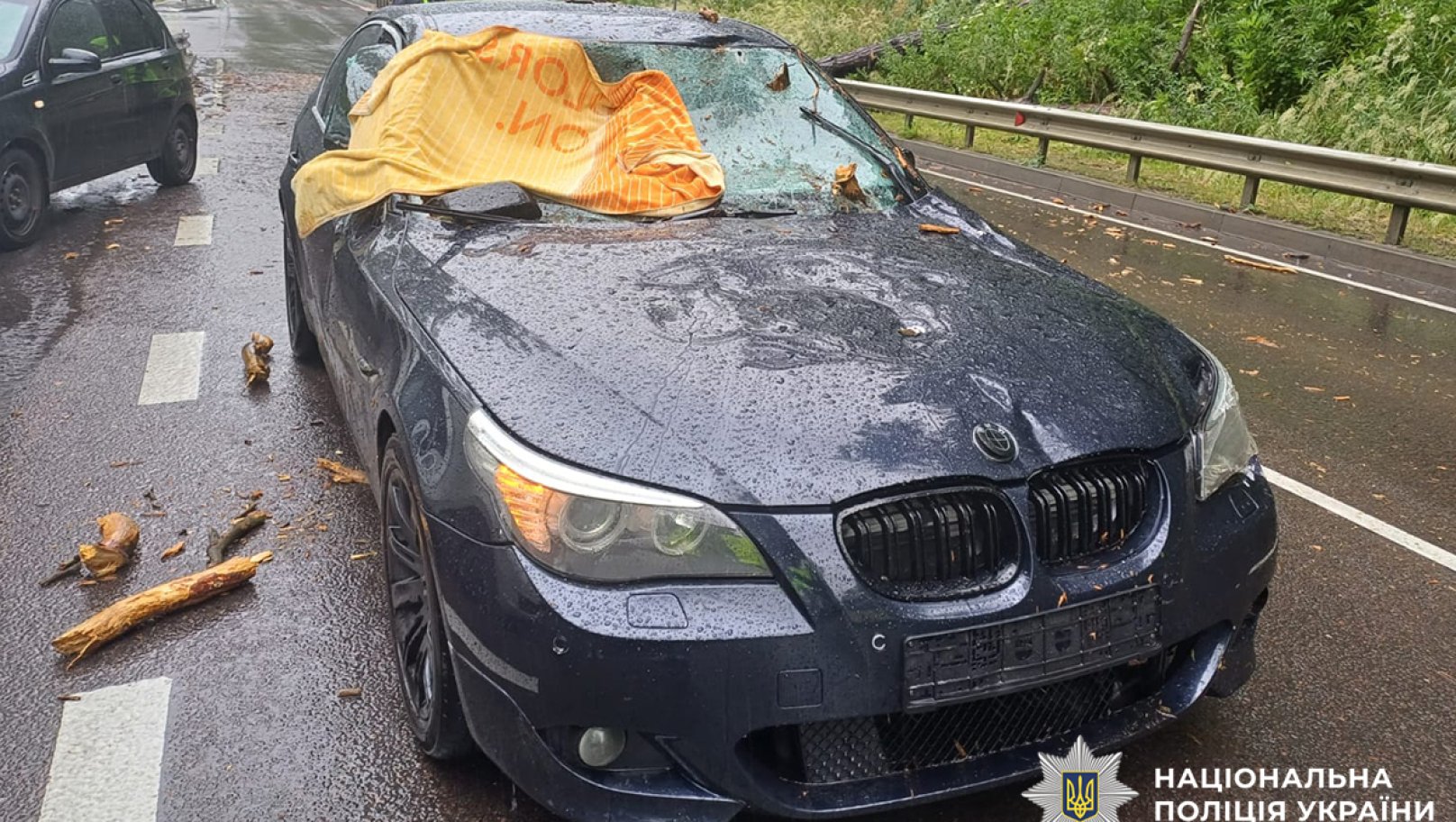 Внаслідок падіння дерева на BMW біля Львова постраждала 17-річна дівчина