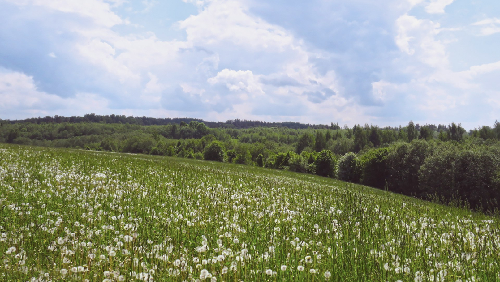 Громаді Дрогобиччини повернули майже 57 га землі через несплату оренди