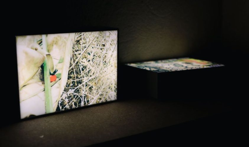 «Шукаю. Слухаю» про діалог у час війни