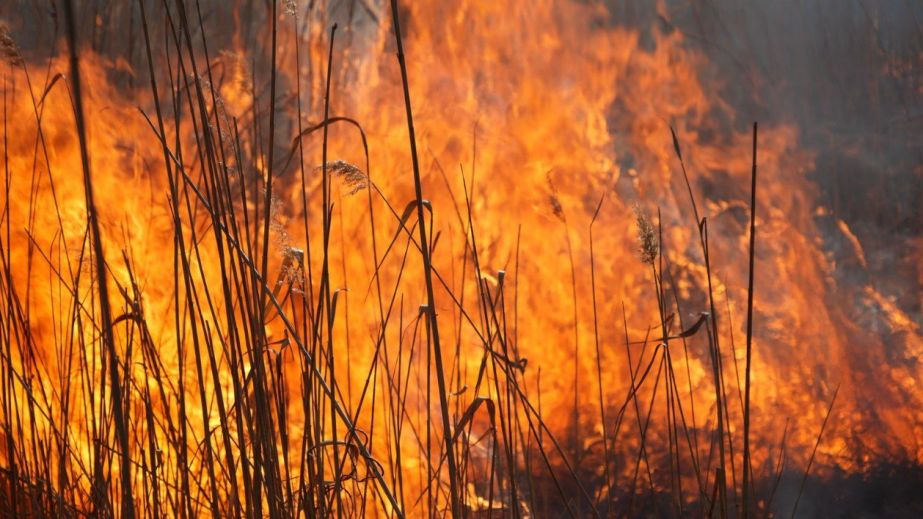 Вогонь переміг: чоловік отримав важкі опіки під час пожежі сухостою