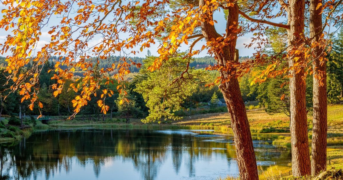 Тепло повертається: завтра на Львівщині буде до +31°