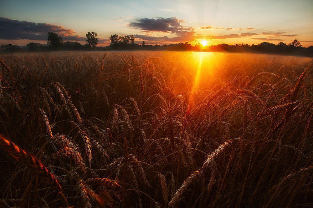 Тепло, сонце й ніяких сюрпризів: якою буде погода на Львівщині 19 серпня