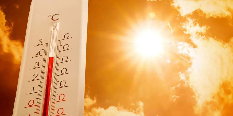 Синоптики б’ють на сполох: пожежна небезпека завтра на Львівщині