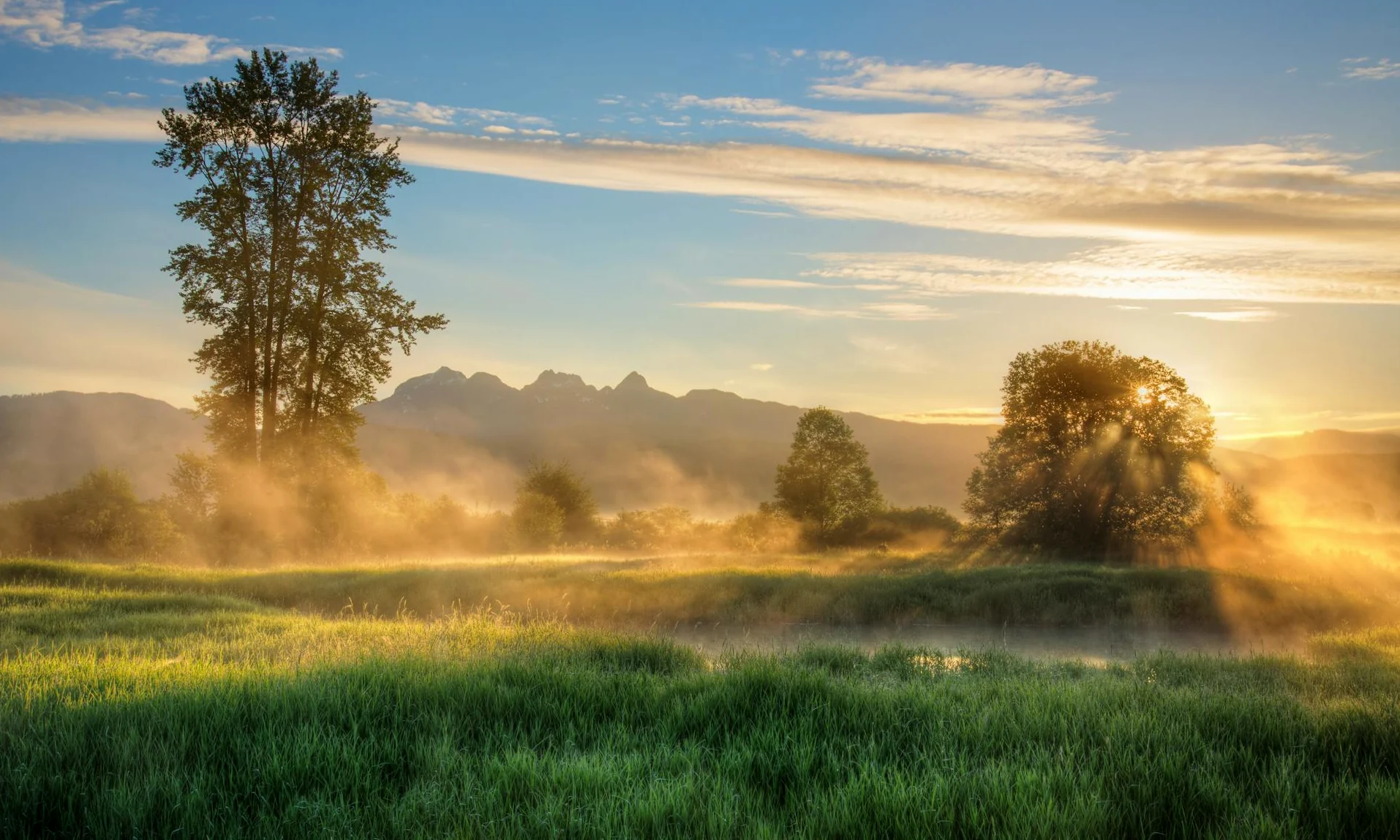 Туман і легка прохолода — погода 7 серпня здивує спокоєм