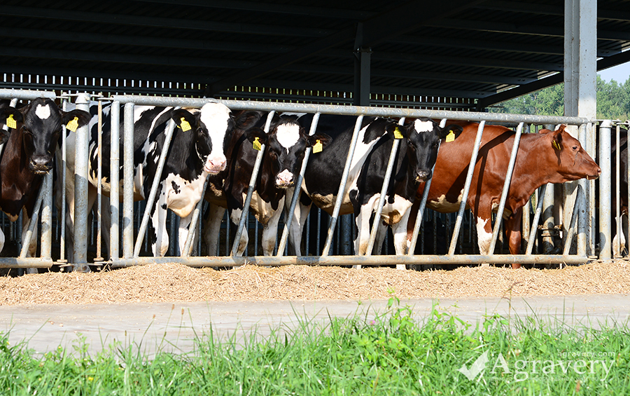 Уряд фінансово підтримає фермерів