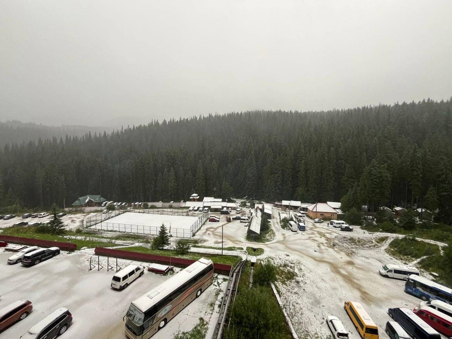 Карпати засипало першим снігом на День Незалежності (ФОТО)