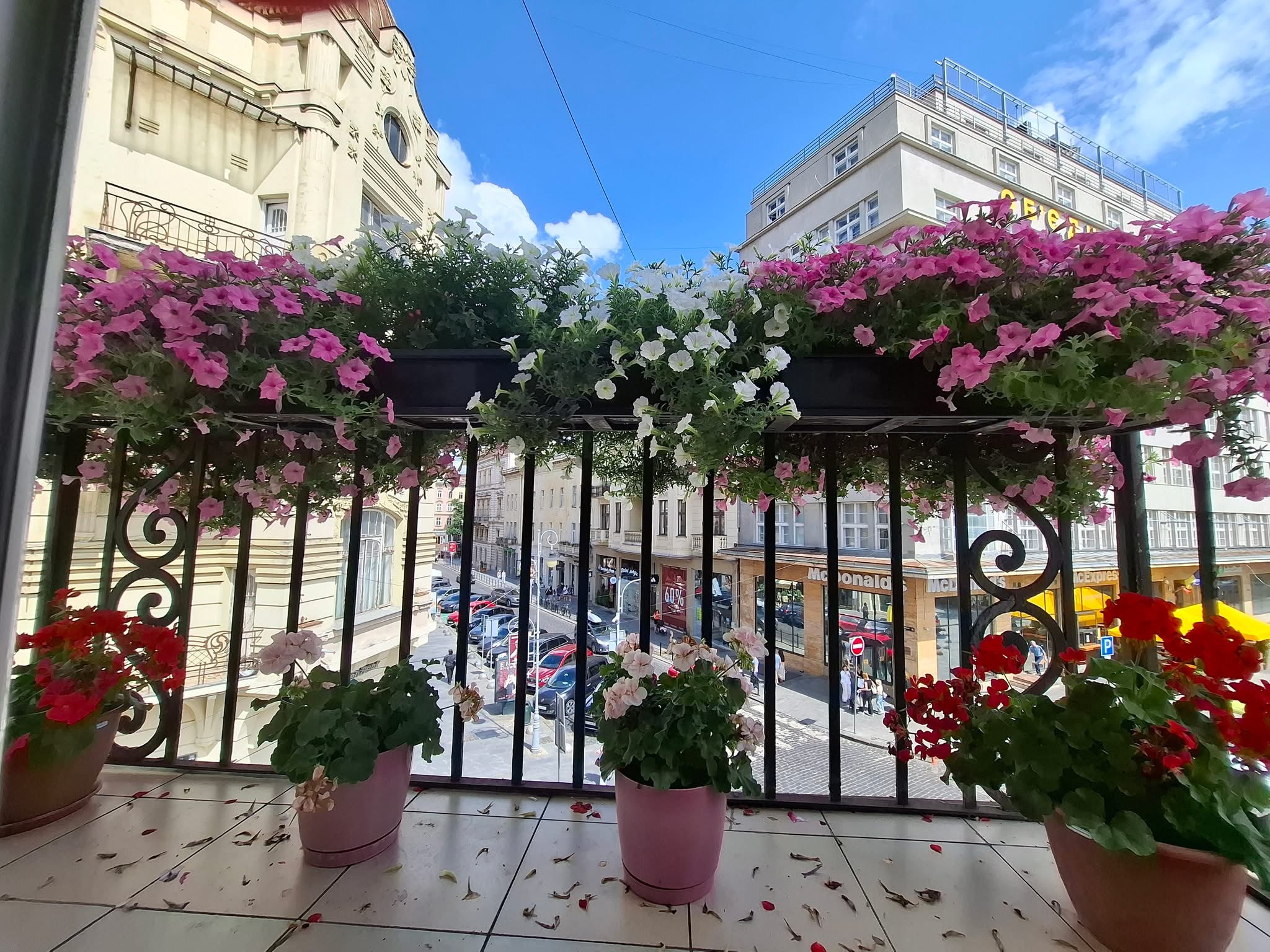 Найкраще озеленення балконів у Львові: триває останній день голосування