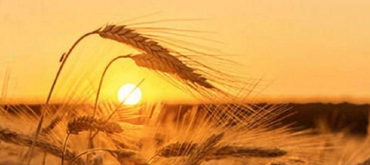 Завтра на Львівщині без дощу, тож парасолі лишайте вдома