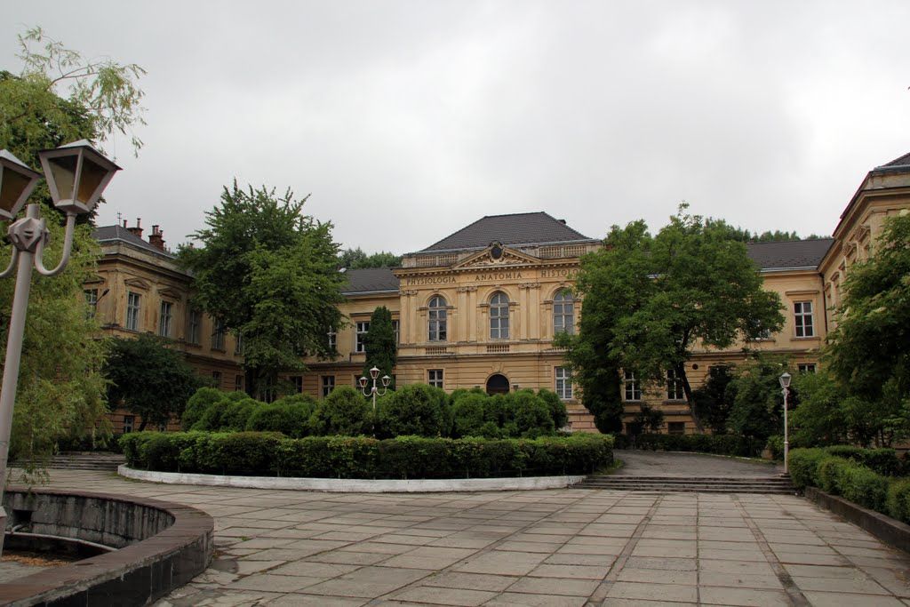 Львівський медуніверситет став одним із найпопулярніших серед вступників