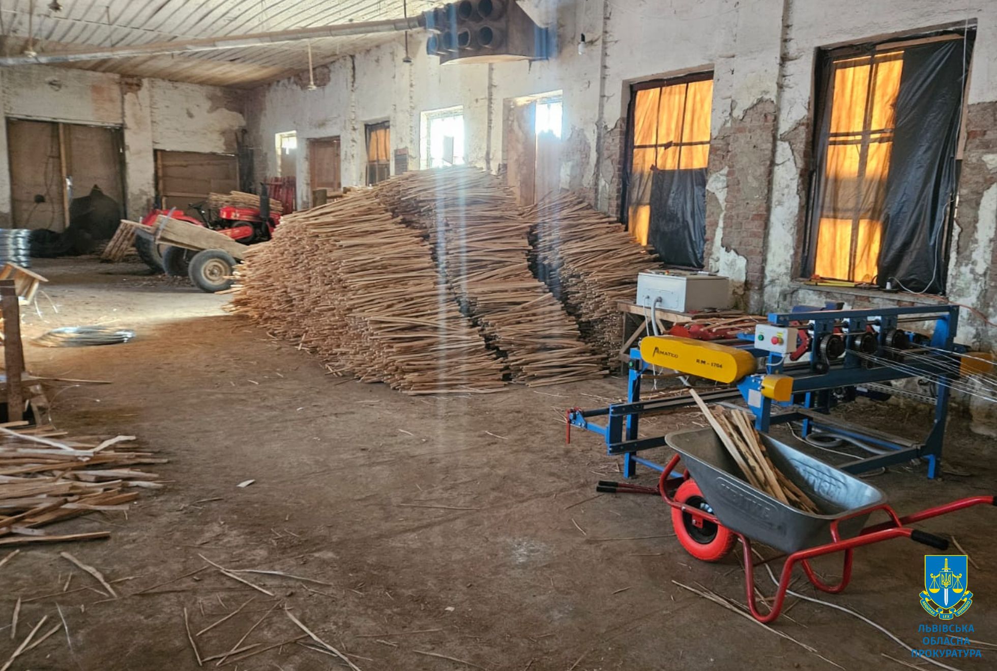 Жителька Львівщини вивезла контрабандний ліс до Польщі на 300 тисяч грн