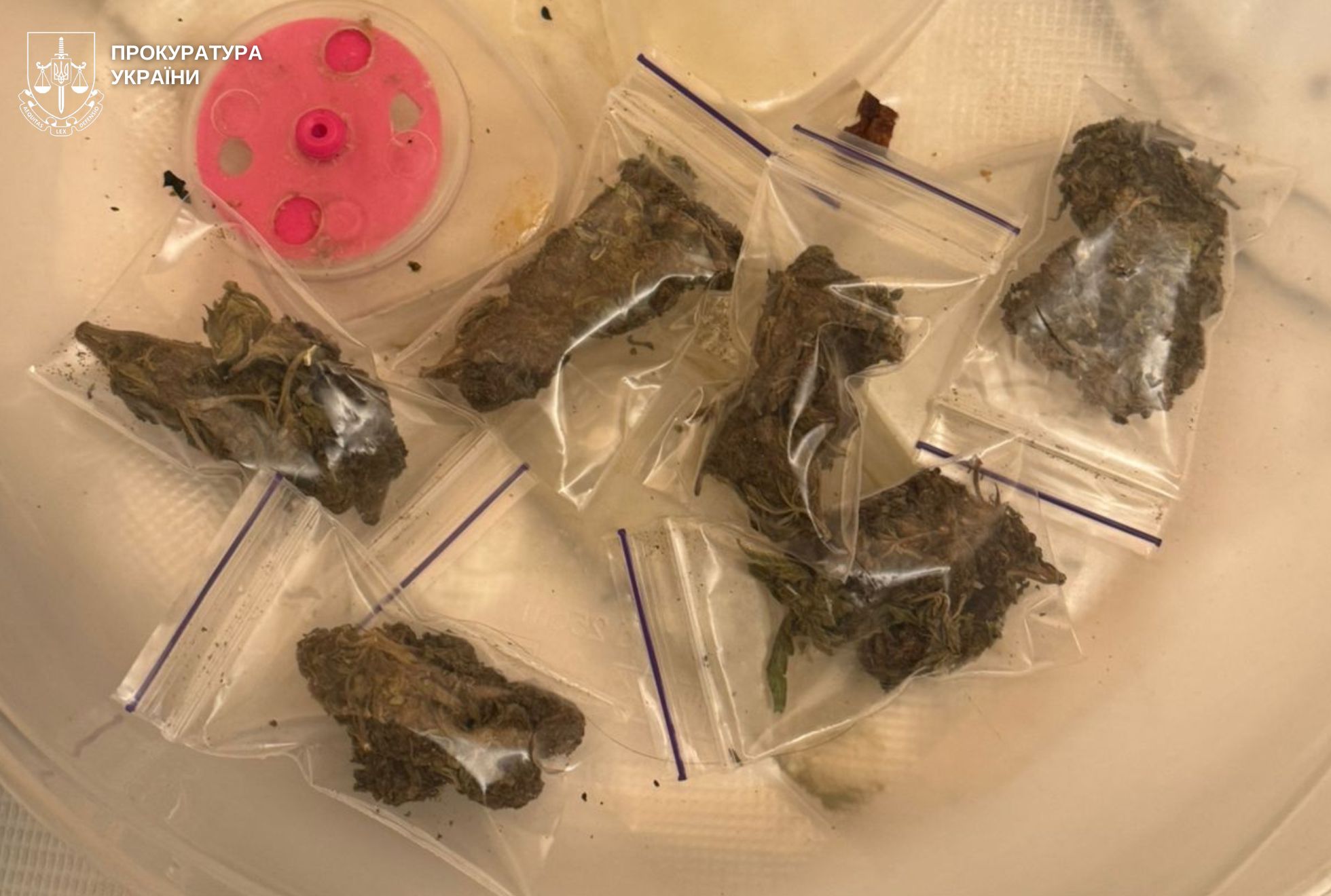 «Закладки» у Брюховицькому лісі: у Львові затримали 20-річного харків’янина з канабісом