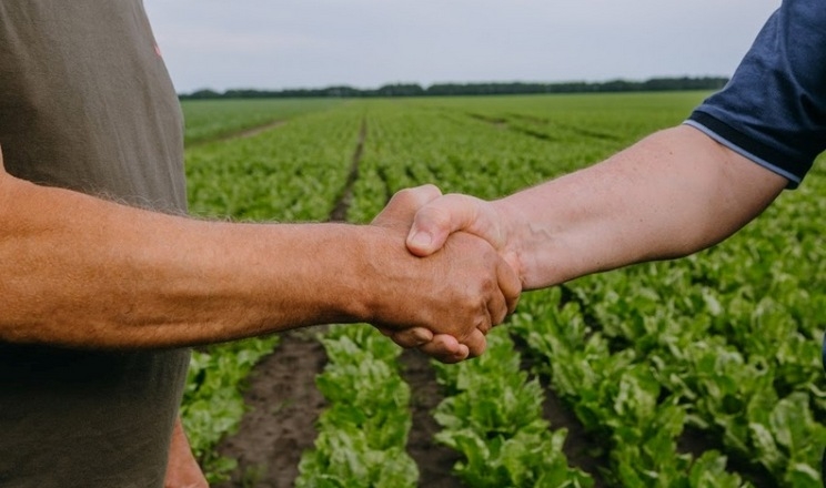 Земля шукає орендарів: на Львівщині продадуть права на 30 гектарів