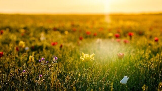 Осінь на Львівщині наближається: прогноз погоди на 23 серпня