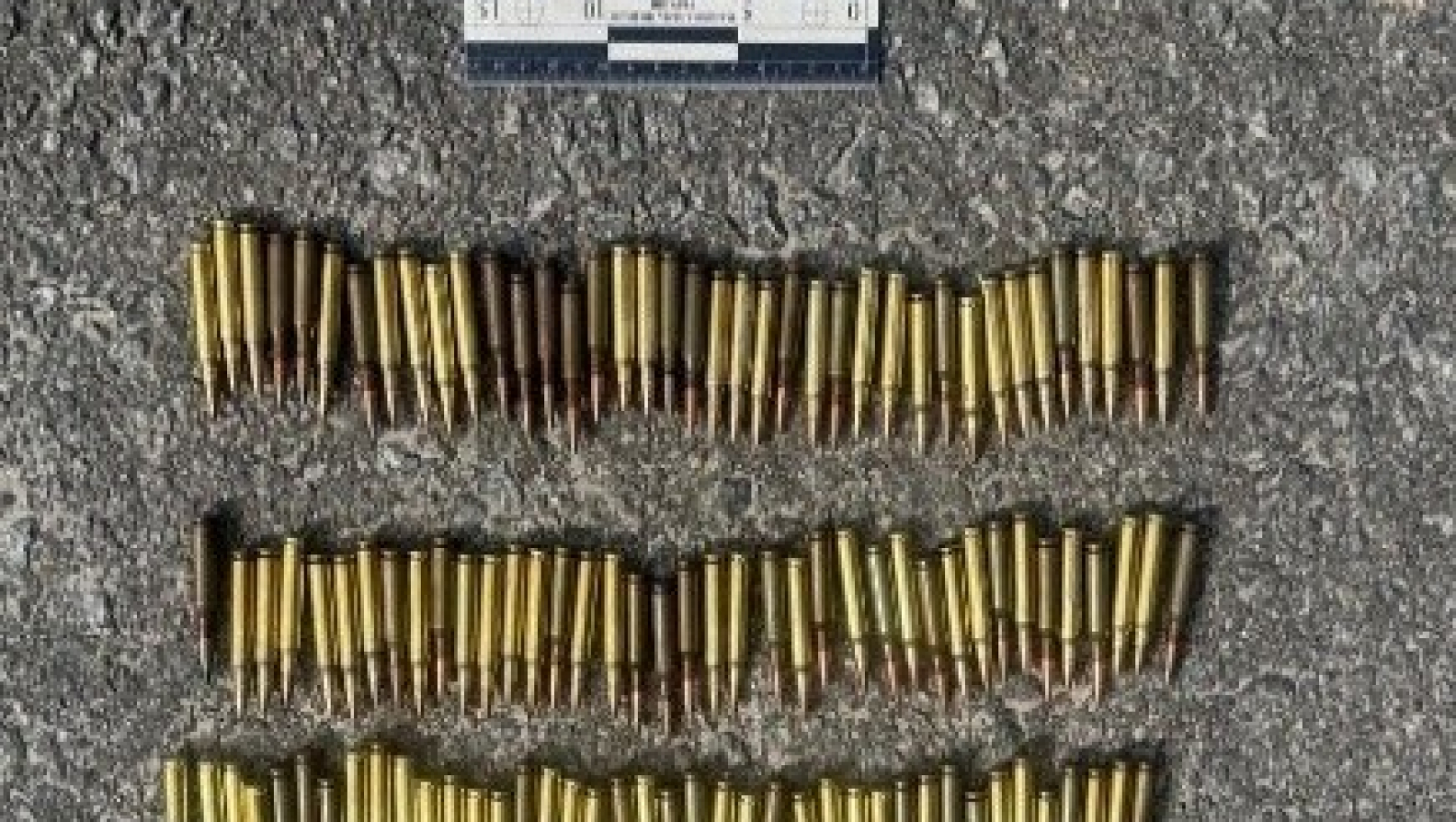 Виїхали на виклик про домашнє насильство, а знайшли 100 незаконних патронів