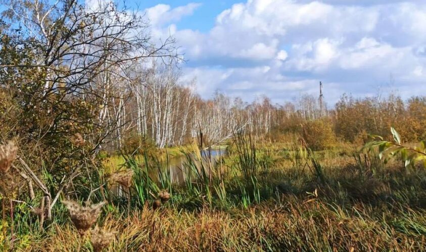 Суд остаточно повернув громаді ще одну частину заказника «Торфовище Білогорща»