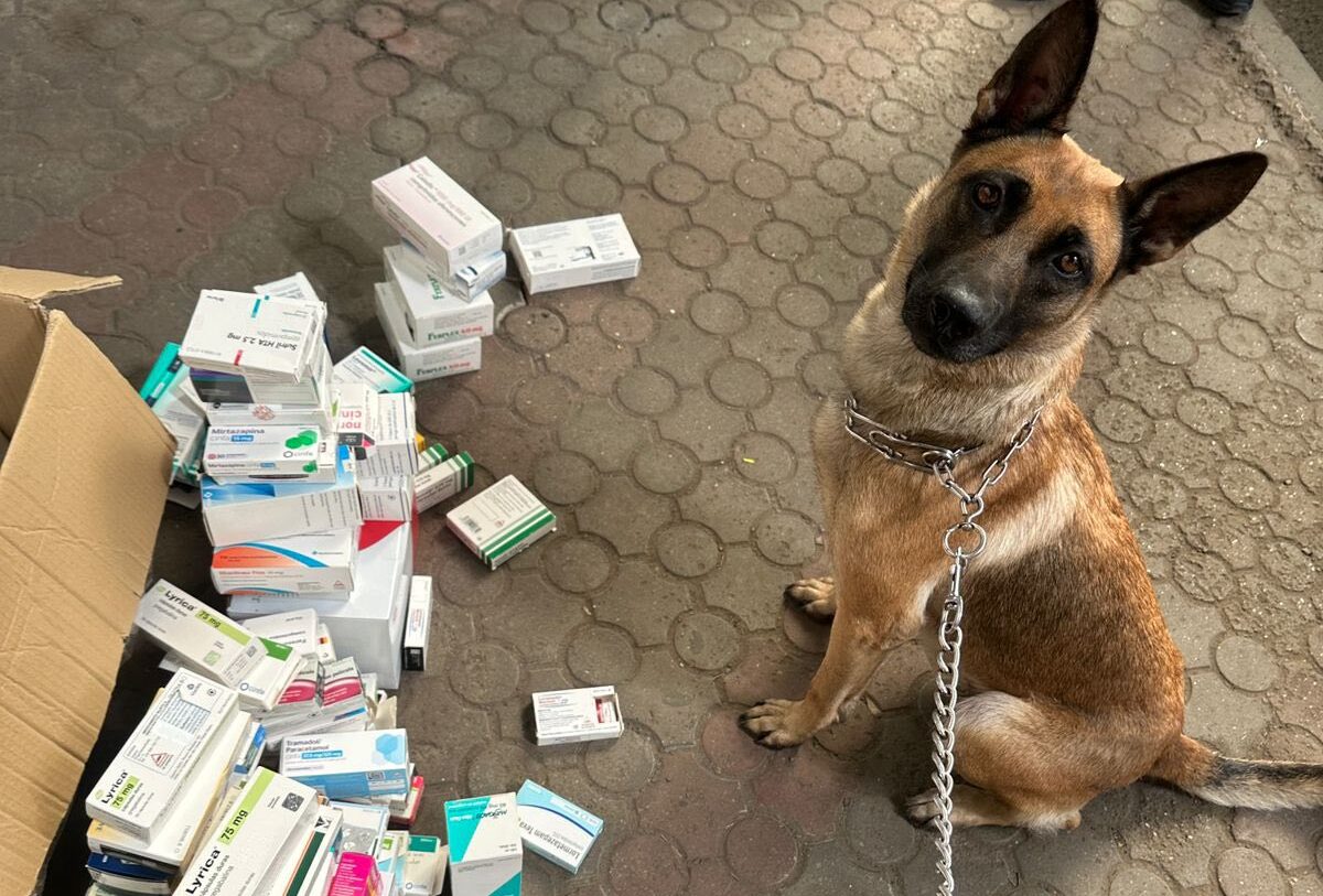 «Бельгійка» у Шегинях знайшла понад 600 пігулок у туристки з Іспанії