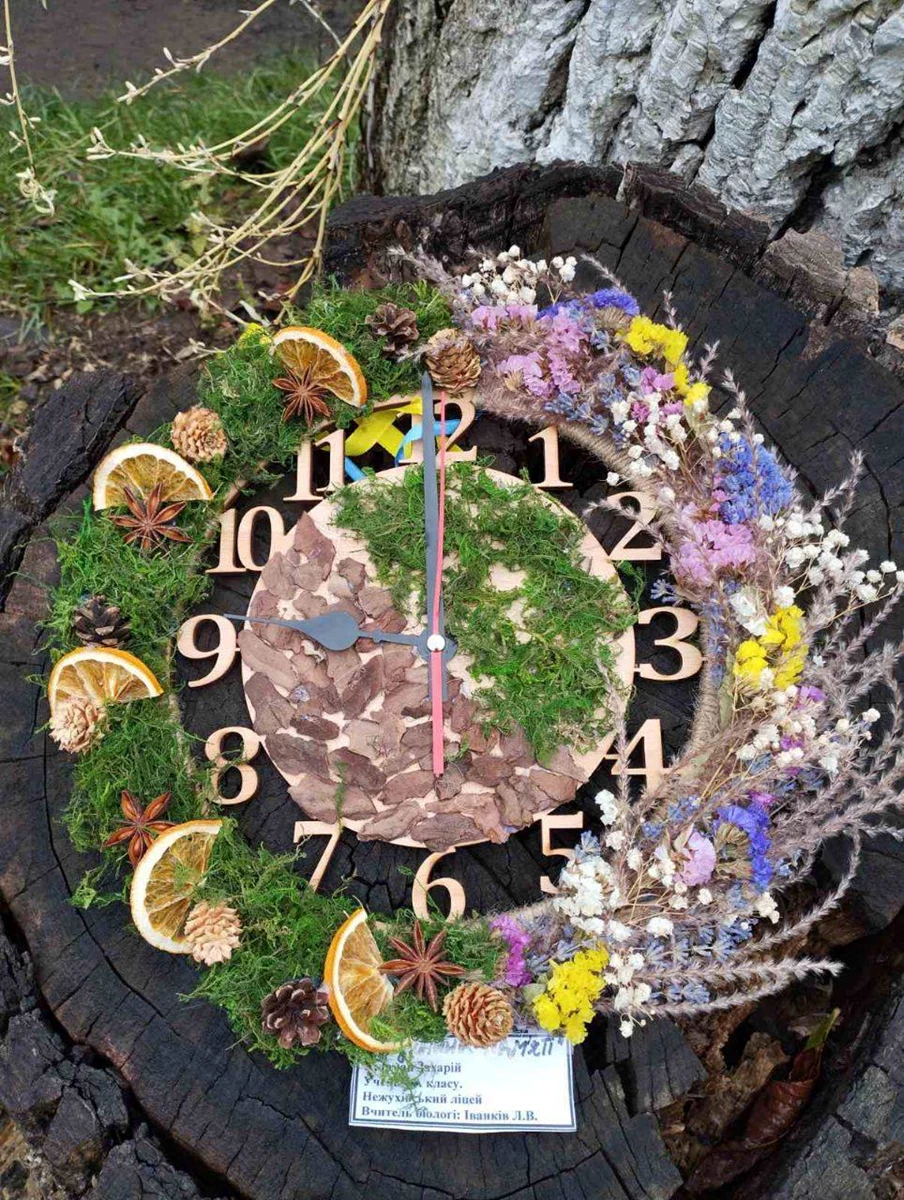 Школярів Львівщини запрошують до участі в екологічному конкурсі «Квітковий вернісаж»