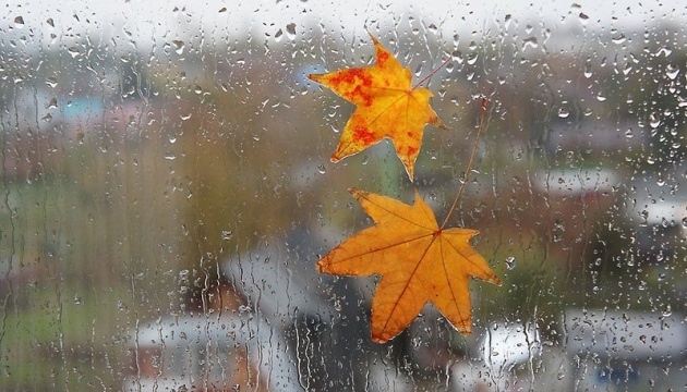 Дощі та грози, а також туман: погода на Львівщині 14 вересня