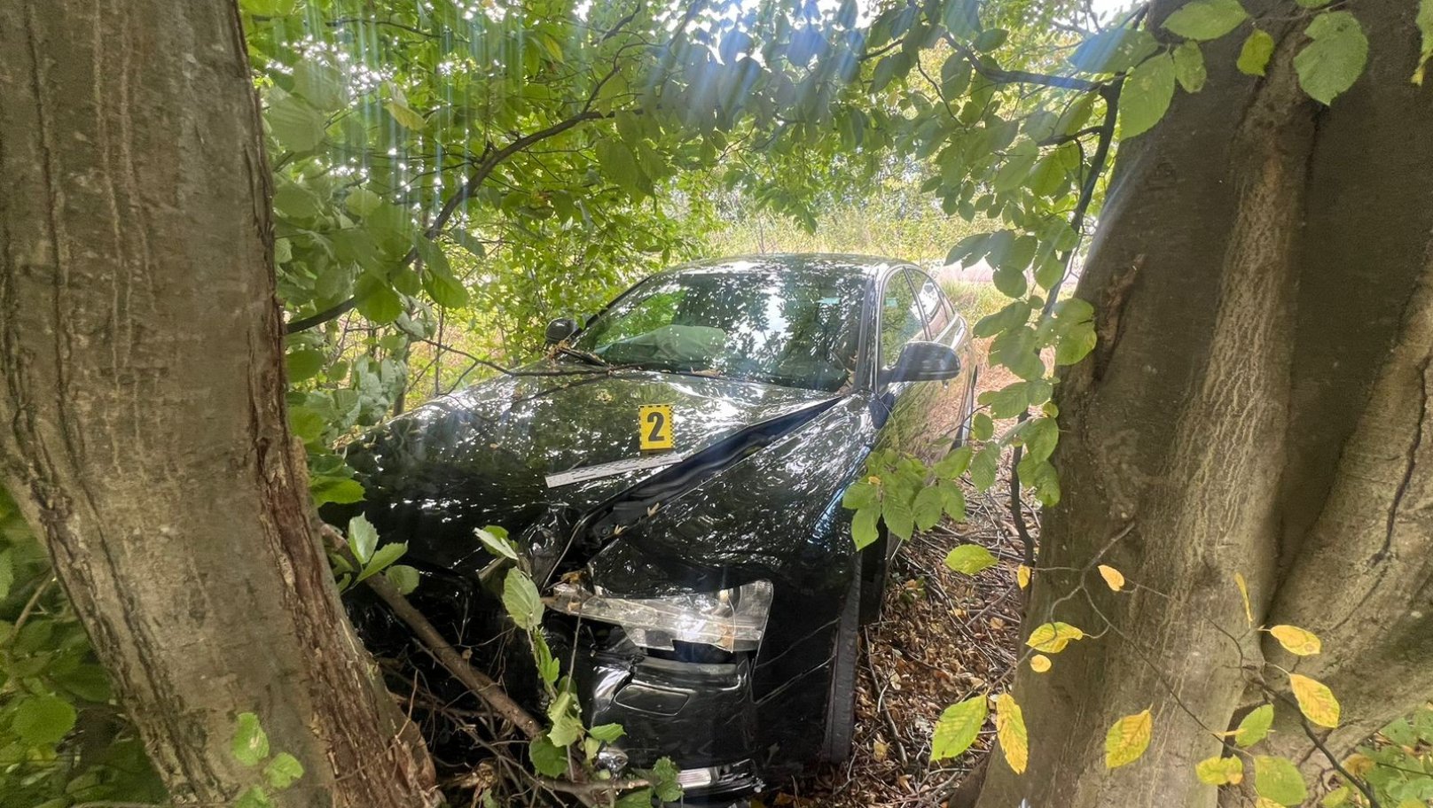 Внаслідок ДТП на Стрийщині троє дітей потрапили до лікарні