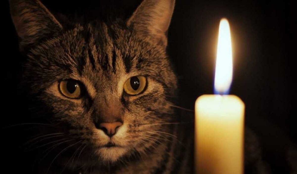 Через негоду немає світла у 60 населених пунктах Львівщини