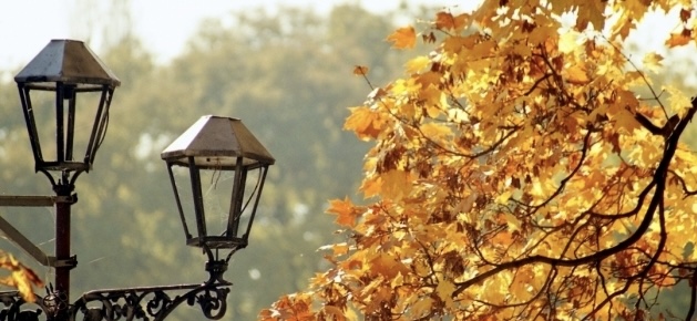 Дощ та прохолода: прогноз погоди на Львівщині 24 вересня